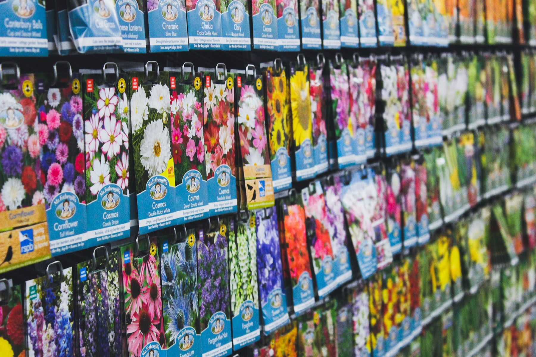 Фото: Siora Photography, Unsplash.com