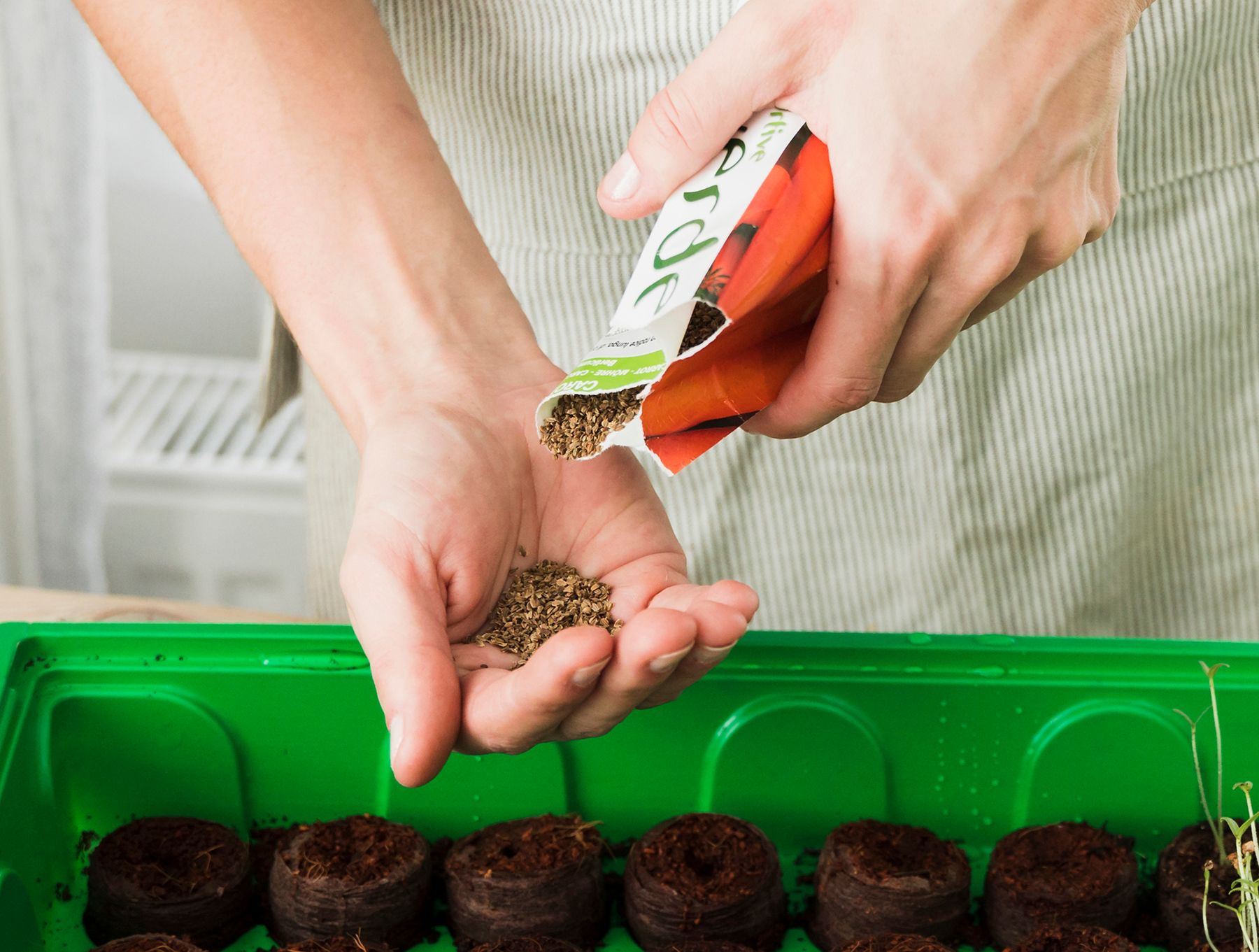 Выбираем семена для посадки. © Freepik.com