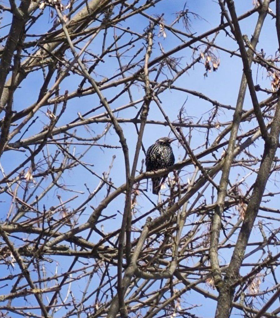 © «Метеовайб», Telegram