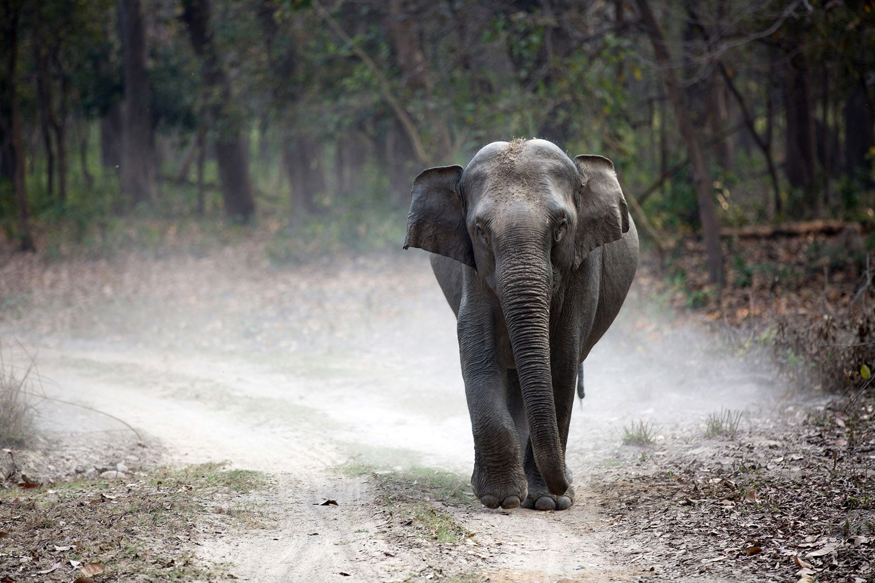 Фото: Gautam Arora, Unsplash.com