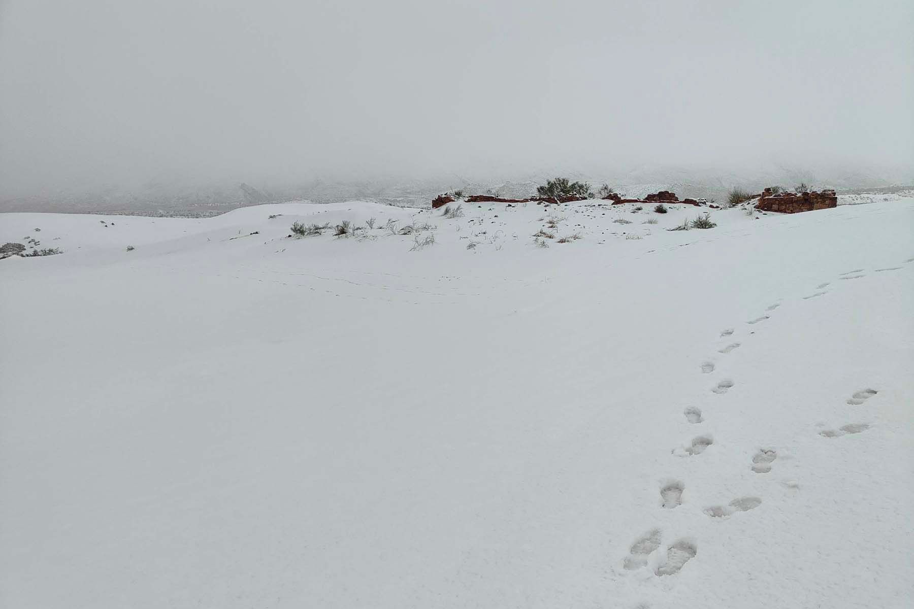 Снег в пустыне Сахара. © kbouchetata / Facebook