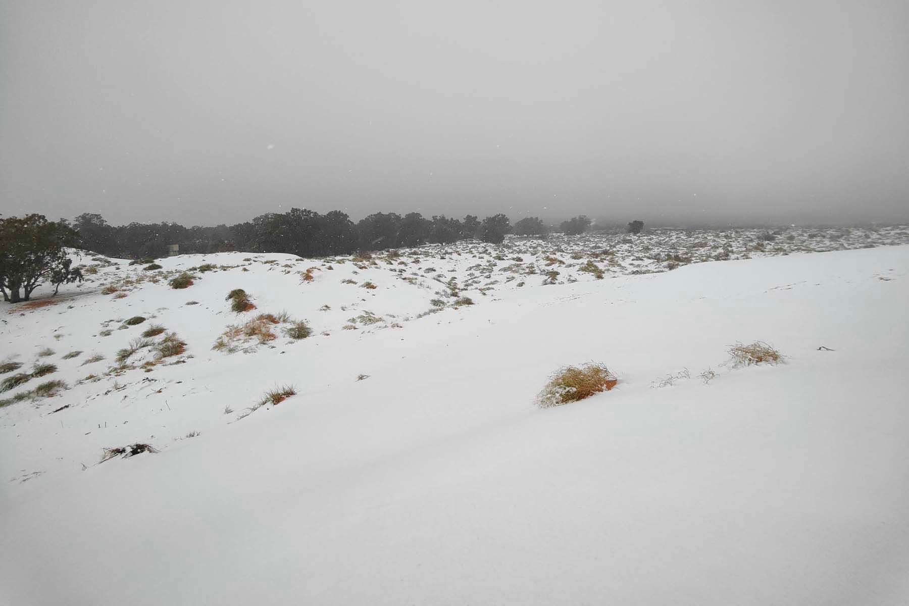 Снег в пустыне Сахара. © kbouchetata / Facebook