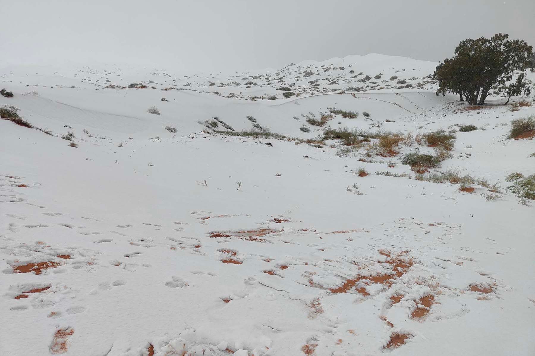 Снег в пустыне Сахара. © kbouchetata / Facebook