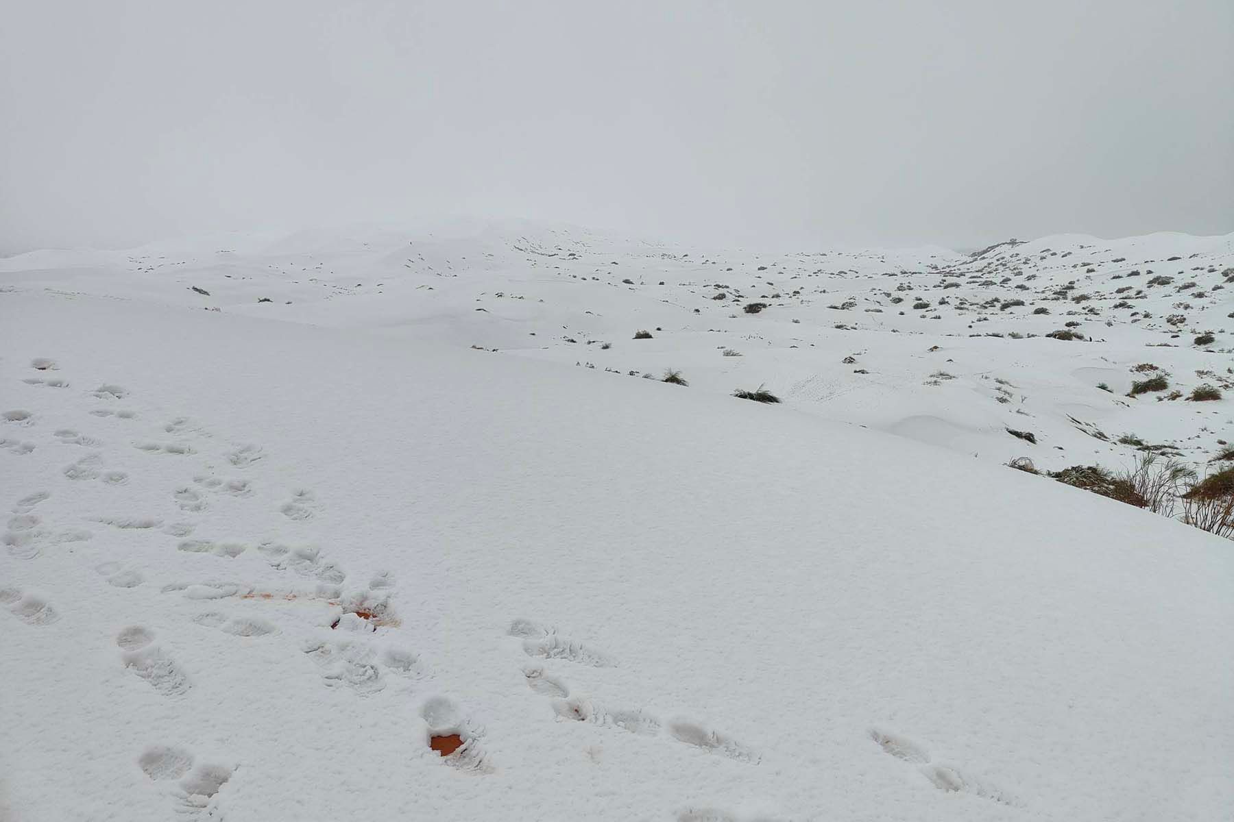 Снег в пустыне Сахара. © kbouchetata / Facebook
