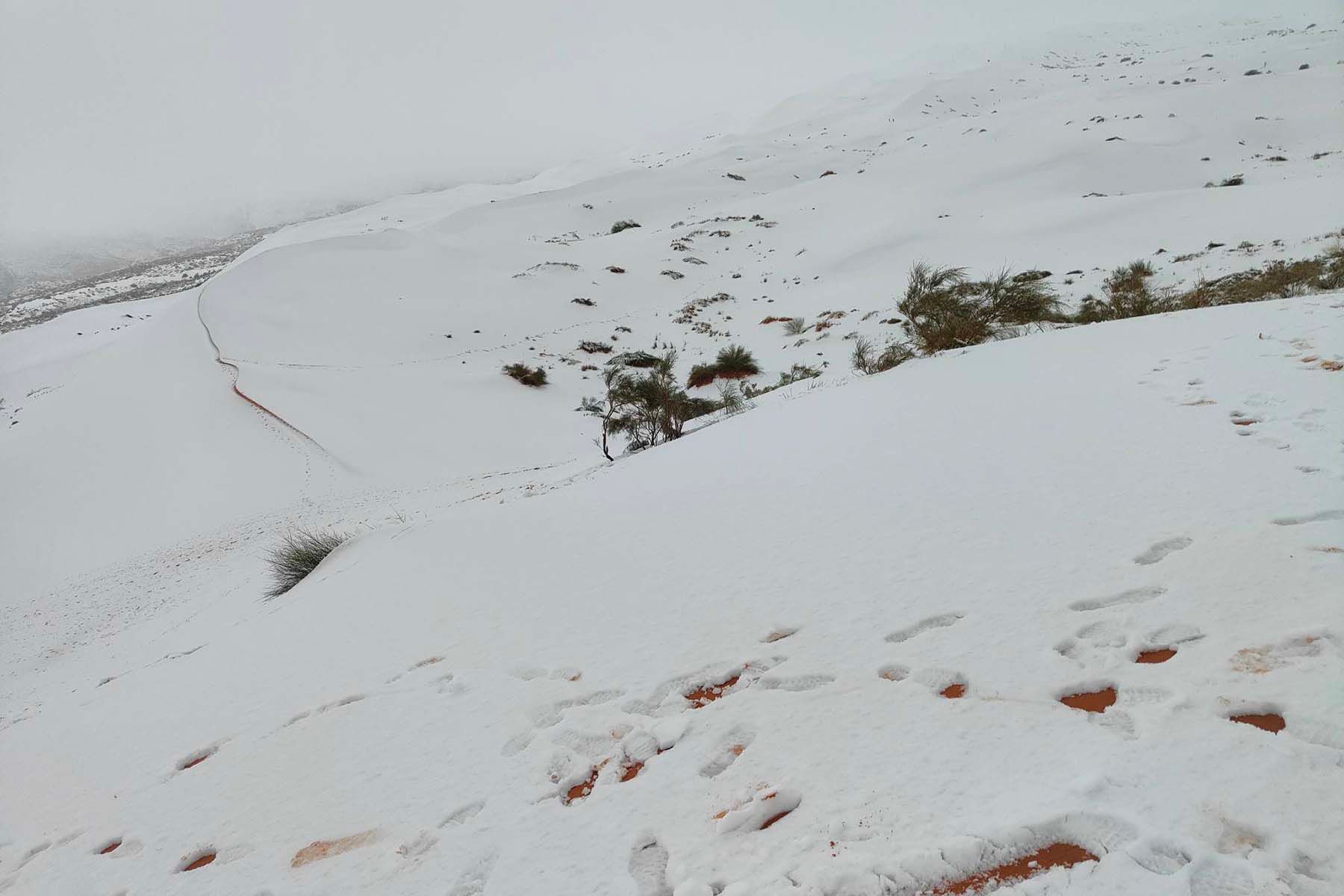 Снег в пустыне Сахара. © kbouchetata / Facebook