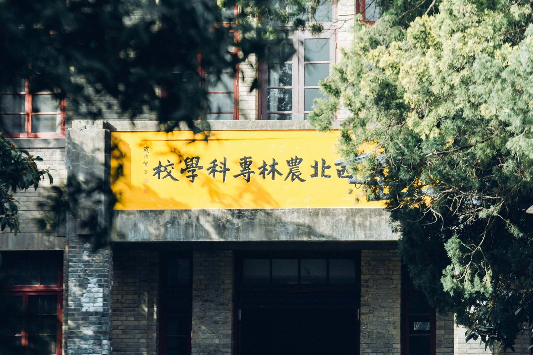 Фото: Spencer Gu, Unsplash