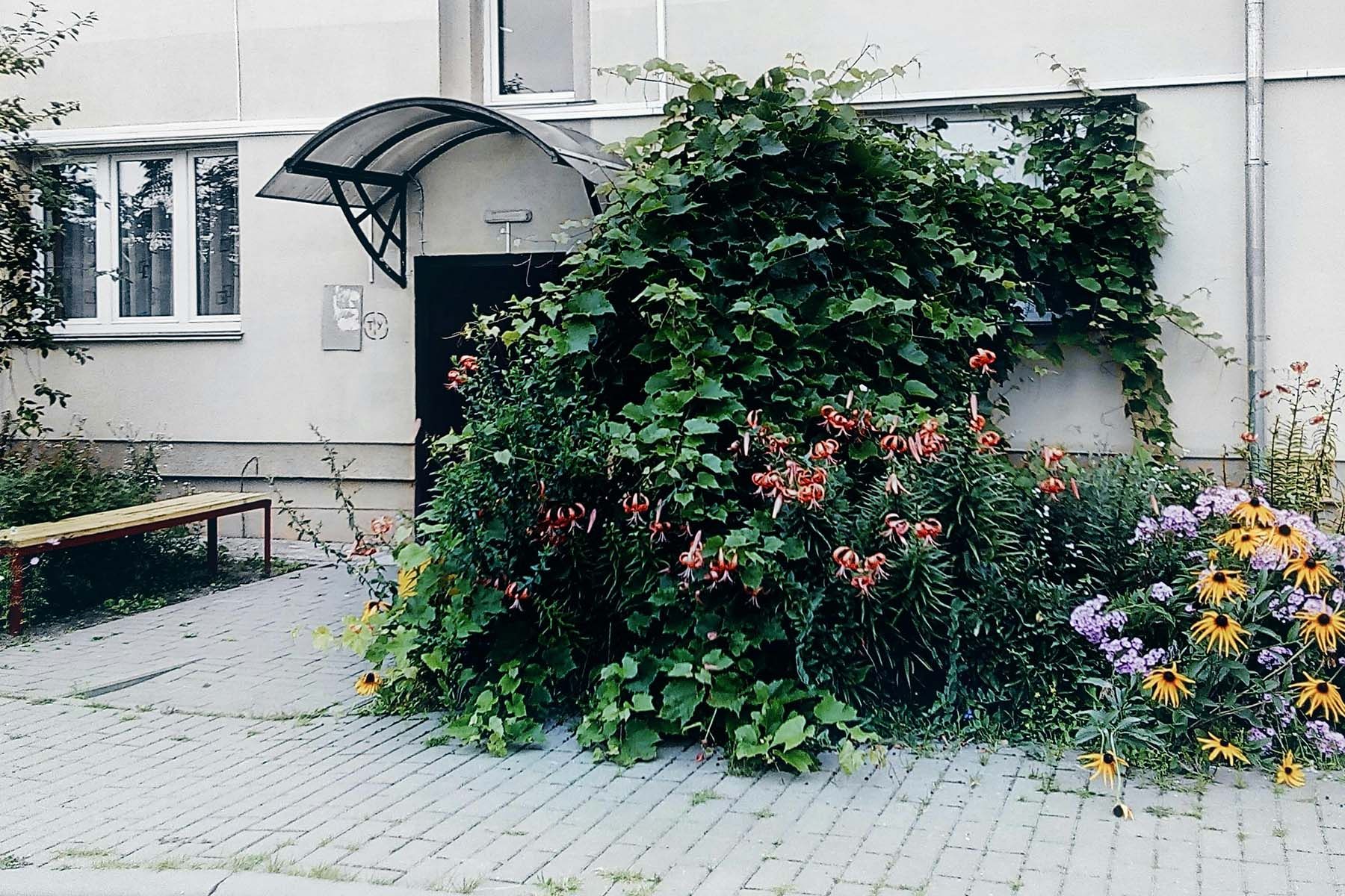 цветы дом подъезд