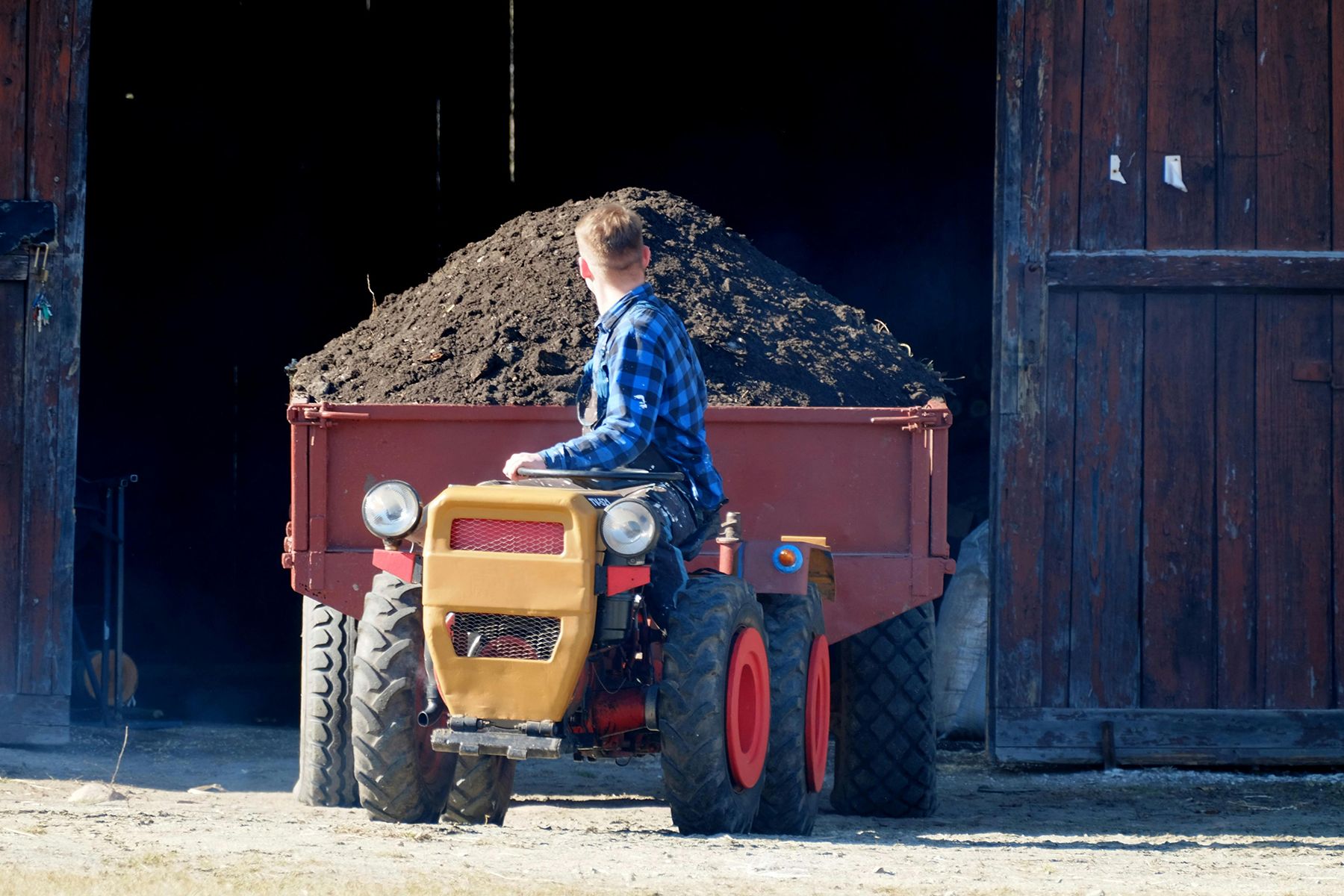 Фото: Roman Biernacki, pexels.com