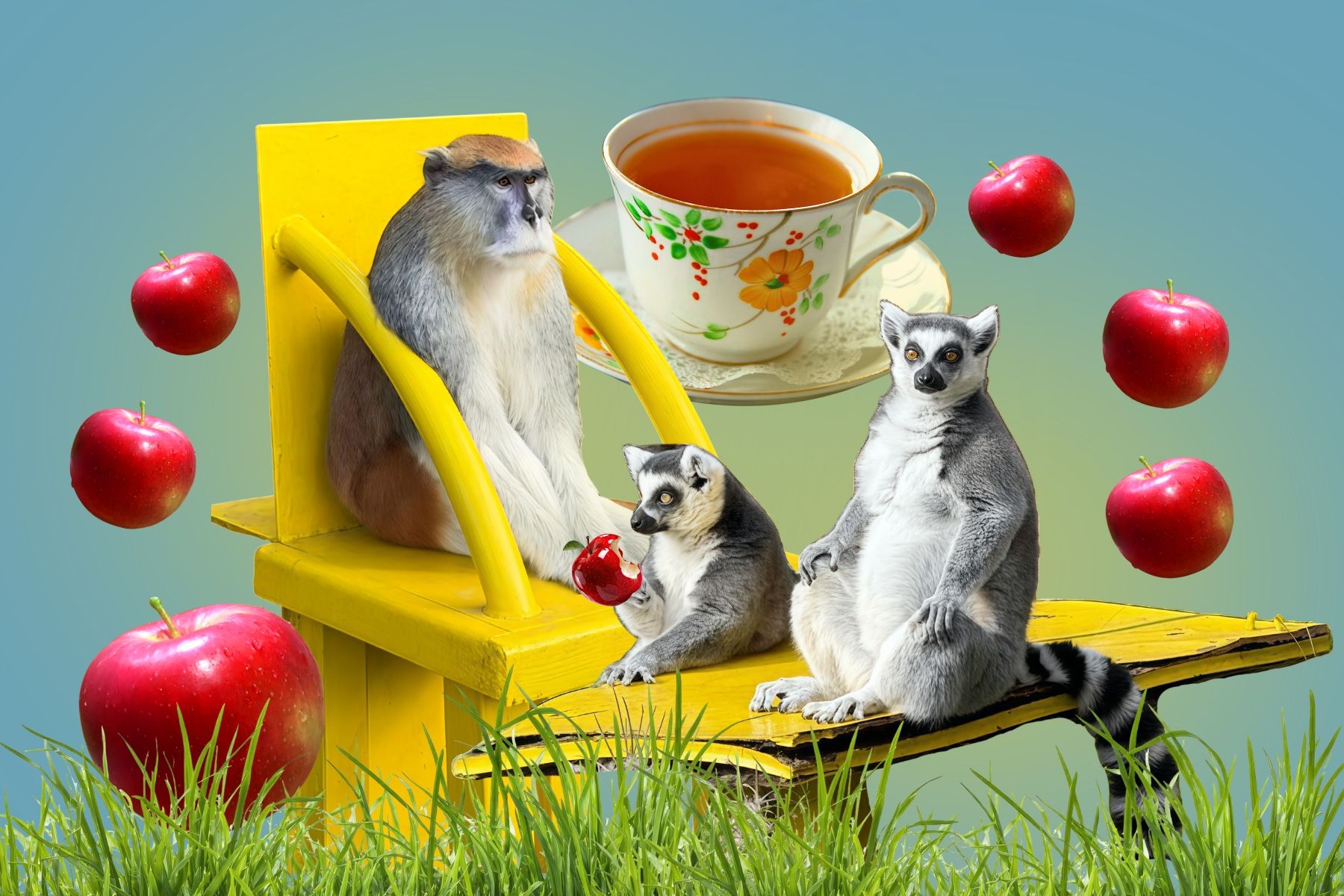 Коллаж: Times.by
