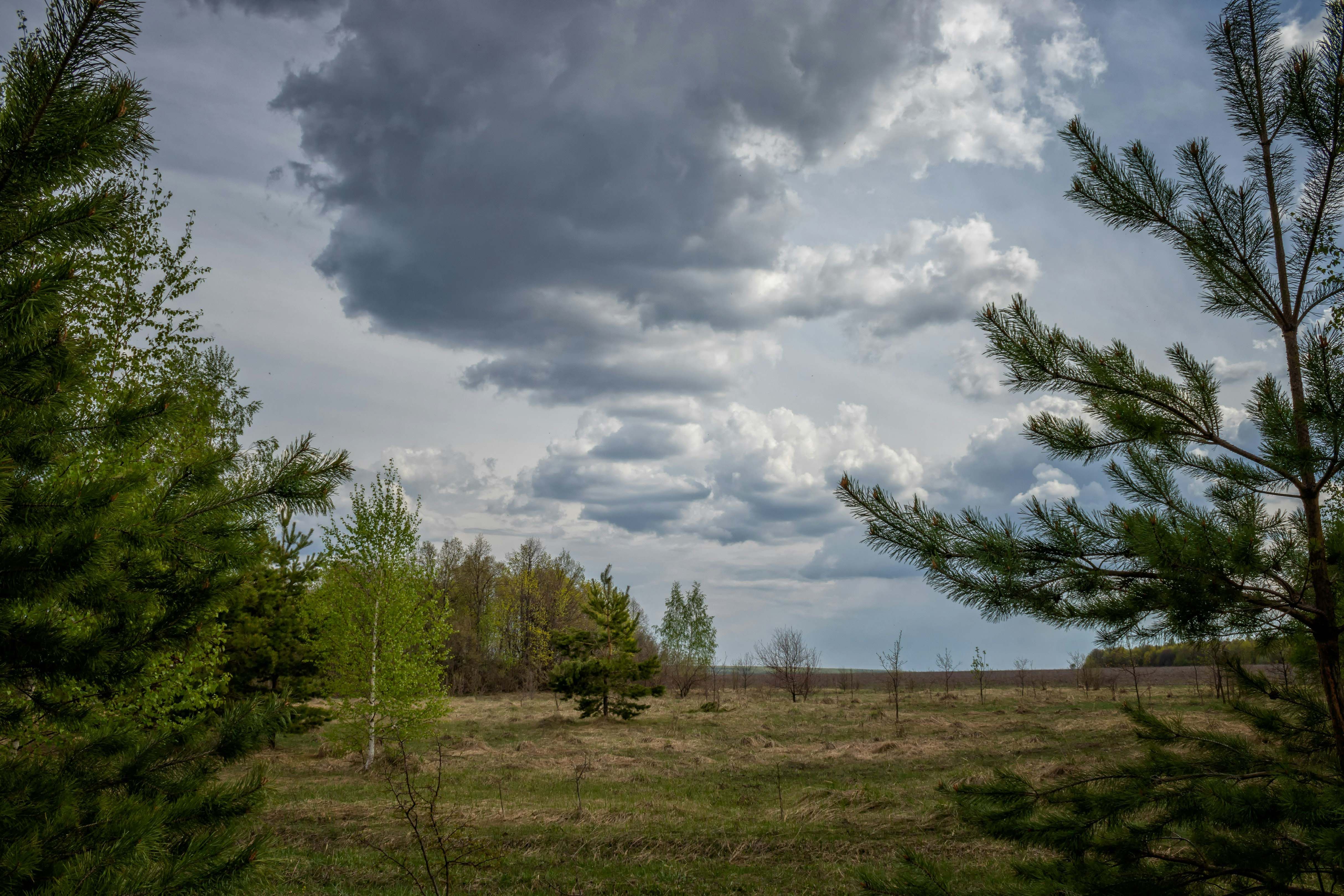 Небо весной