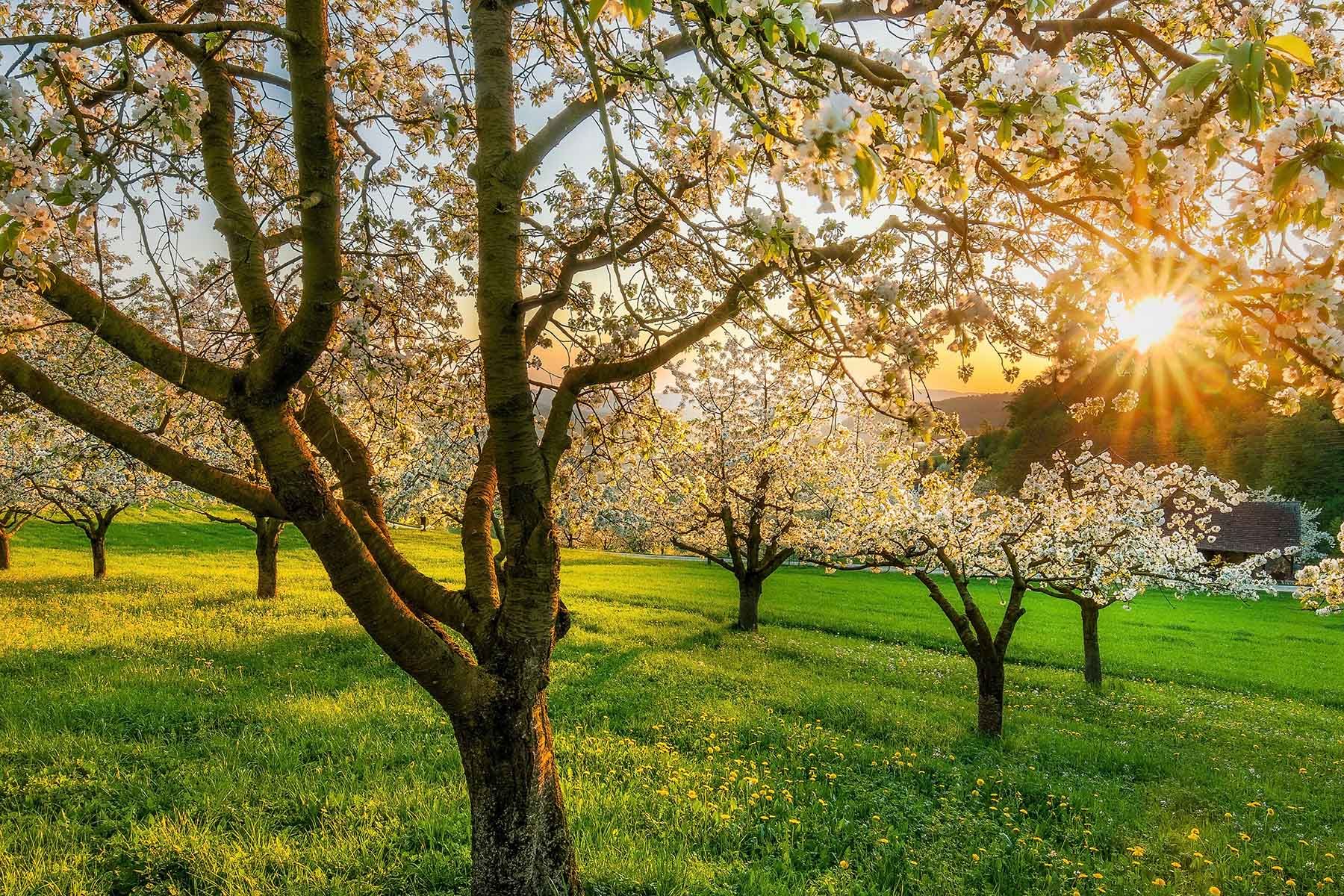 Фото: Jan Huber, Unsplash.com