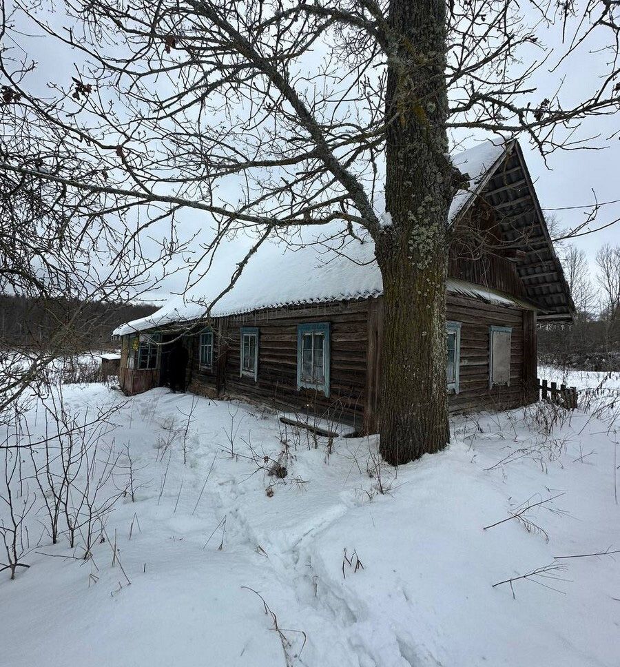 Деревня Веселуха. © ООО «ЦРУ Академическое»