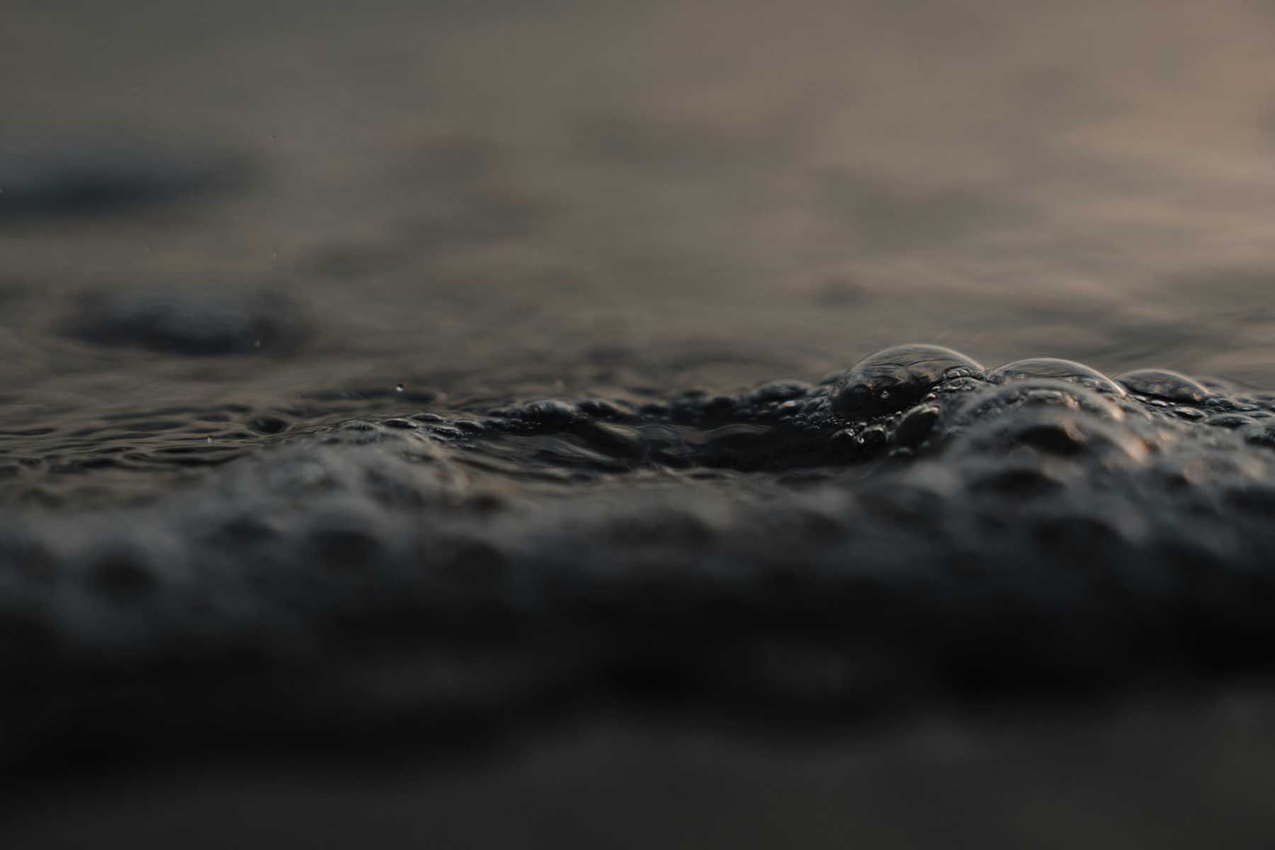 Фото: Michiel Annaert, Unsplash.com