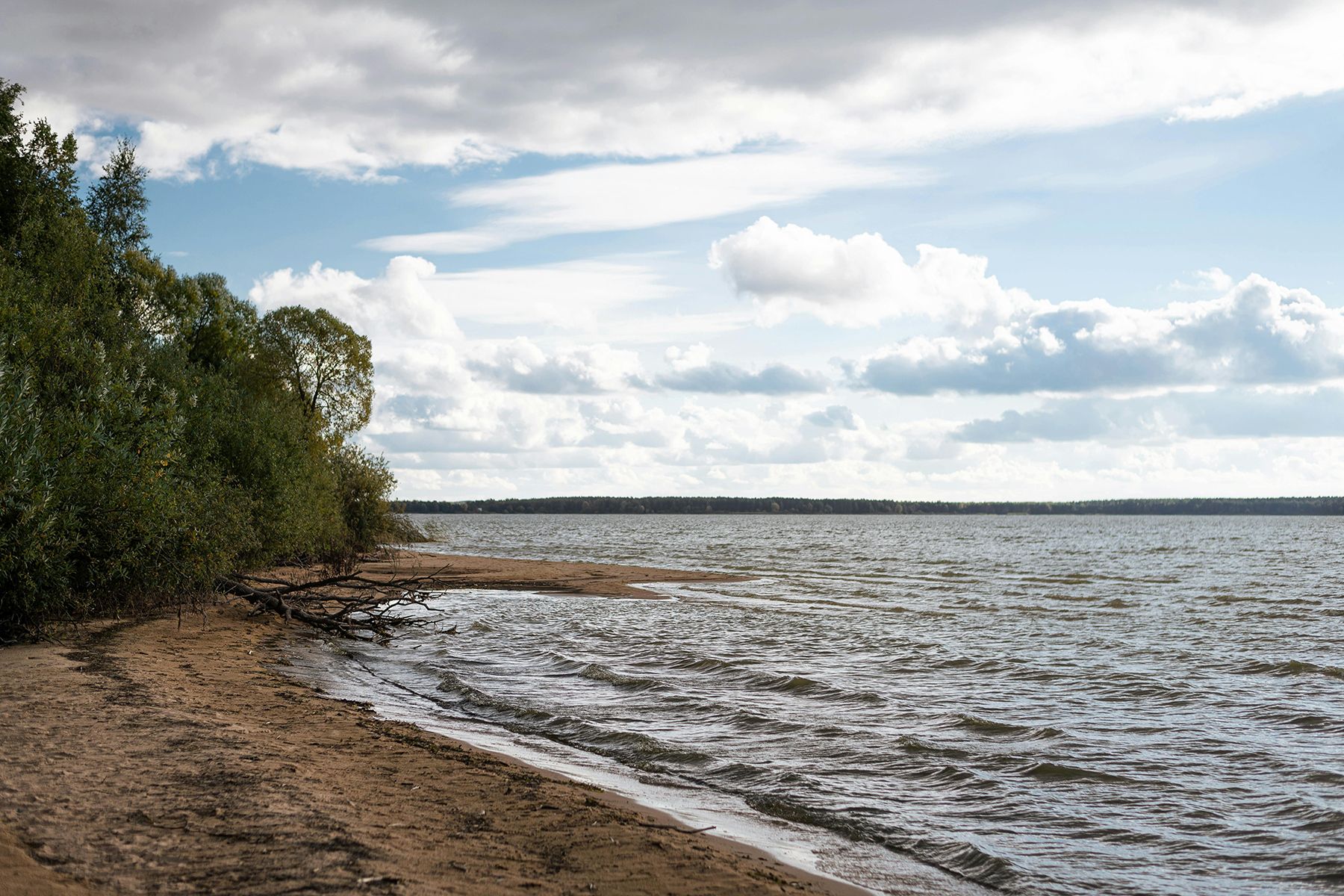 Фото: Vitali Adutskevich, pexels.com