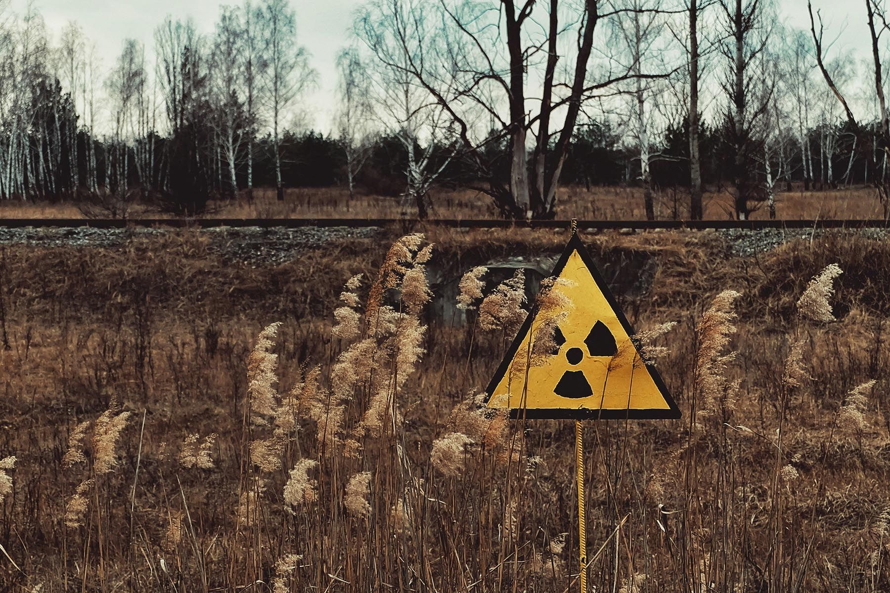 © Oleksandra Bardash, Unsplash.com